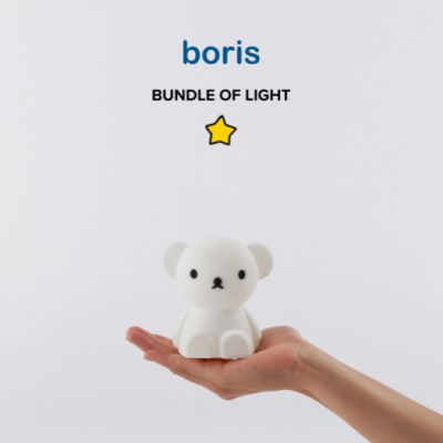 Mr. Maria . Boris bundle of Light
