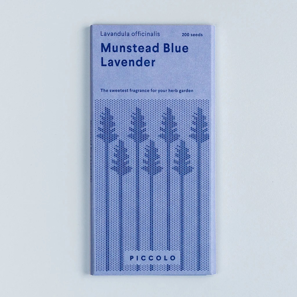 Piccolo . Semi Lavender Munstead Blue